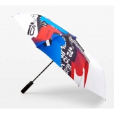   BMW M Motorsport Compact Umbrella, Multicolour 80232466302
