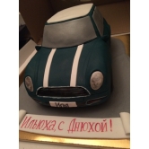 ���� Mini 30