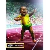 ���� Mini 27