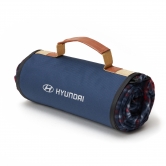 ���� ������������ Hyundai R8480AC631H