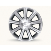 ���� ������������� 17 1386878