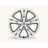 ���� ������������� 16 1447905