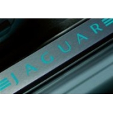 �������� �� ������ � ���������� XF-Champagne C2Z5587SEL