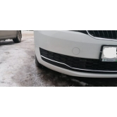        , ,  Rapid FL (2017-) 5JA8537682ZZ