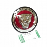 ������������ ������ � �������� Jaguar �� ������� ��������� J9C5647