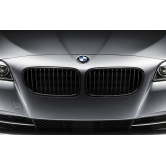 Комплект решеток радиатора BMW 5 седан (F10) 51712165539+528
