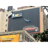 ���� Mini 29