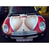 ���� Mini 30