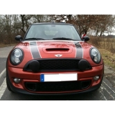 �������� �� ���� Black Line R56 51132254740+895