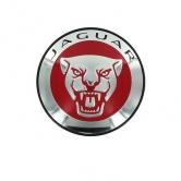 �������� ��������� ����� Jaguar C2D47107