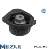 ����� ��� (���) X5 (E53) 3.0L MEYLE 3002231601