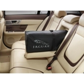 ����� ��� ��� Jaguar ������� �� ���� ��� ��� � ������ ����� ������ �� 180 ��. C2Z23531